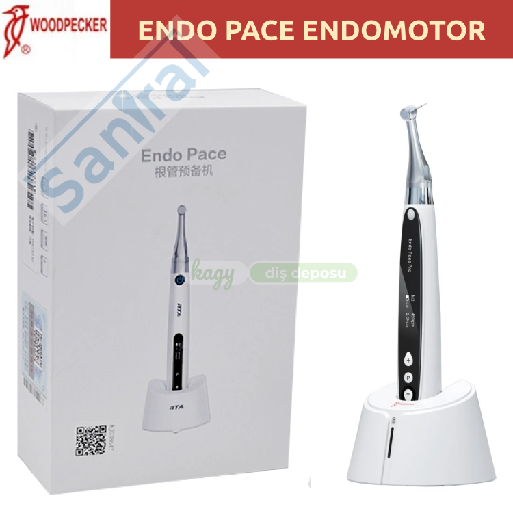 Woodpecker Endo Pace Endo Motor