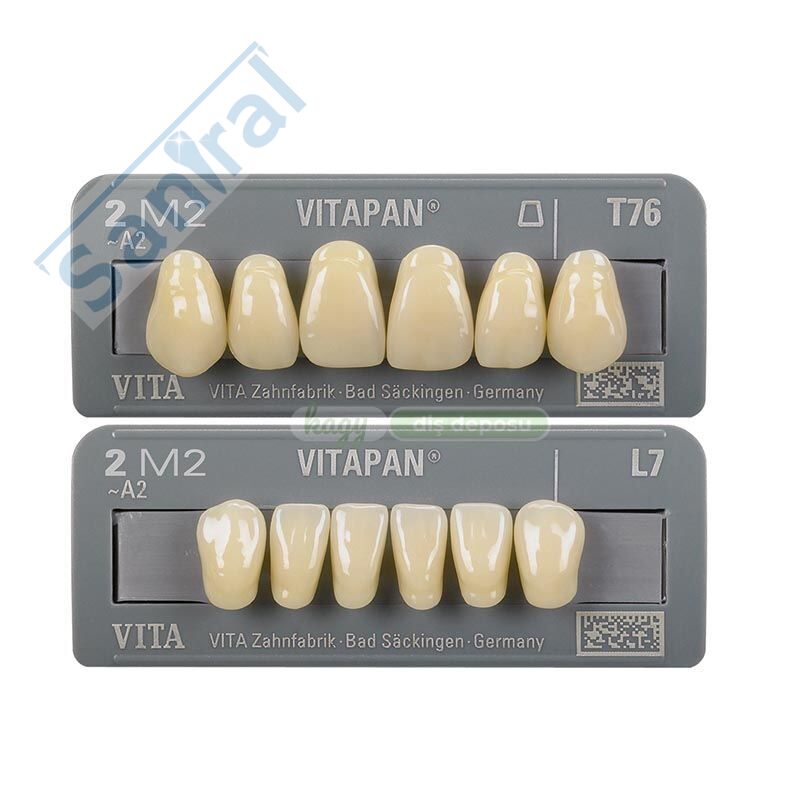 VITAPAN ALTILIK ON DISLER