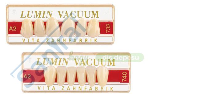 LUMIN VACUM ALTILIK ON DISLER