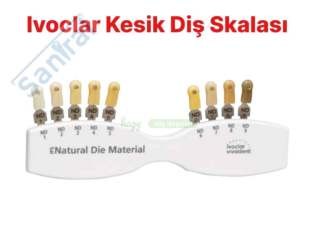 Ivoclar Kesik Diş Skalası