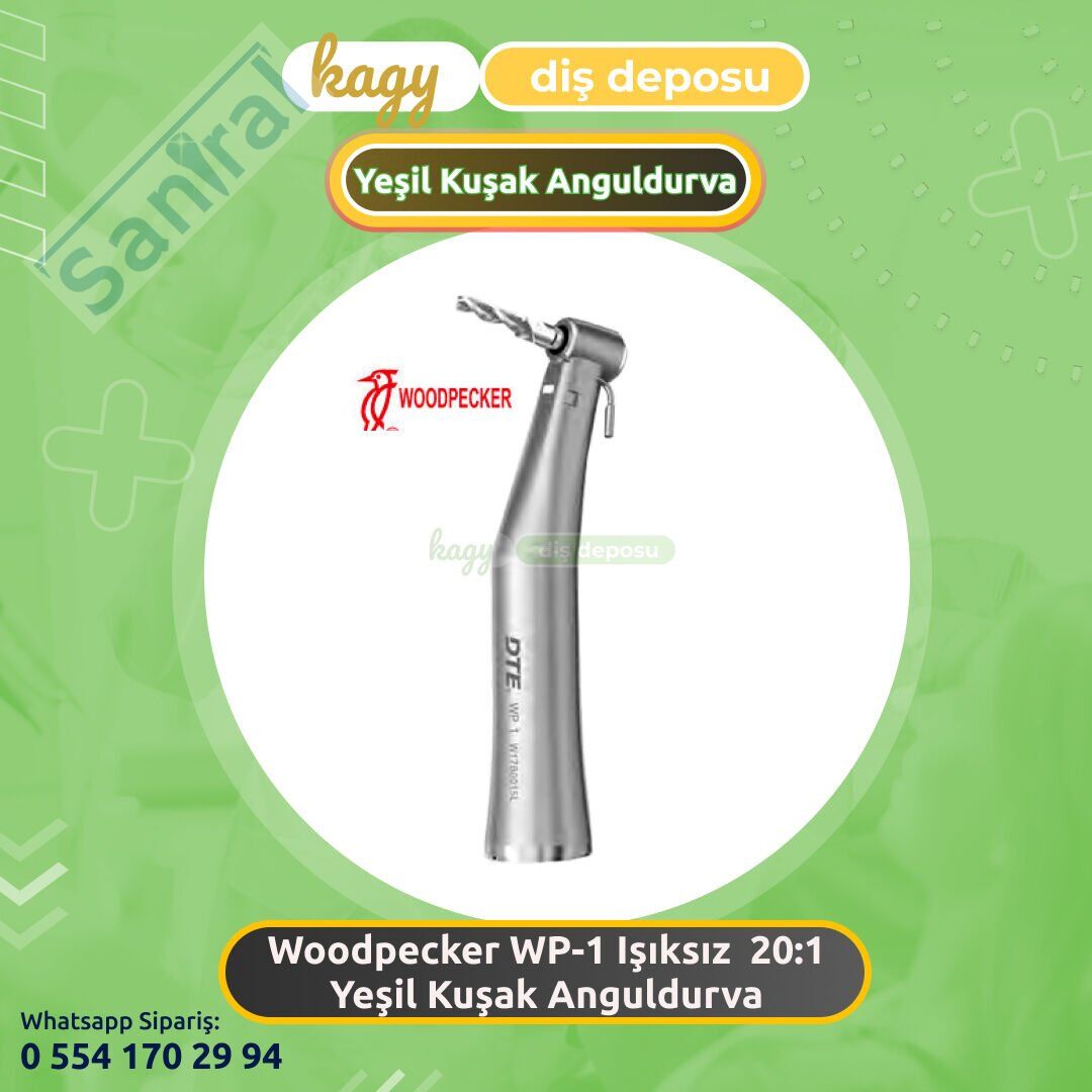 WOODPECKER WP-1 Işıksız İmplant Anguldurvası