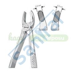 Jensen Davye Çocuk - Üst Molar
