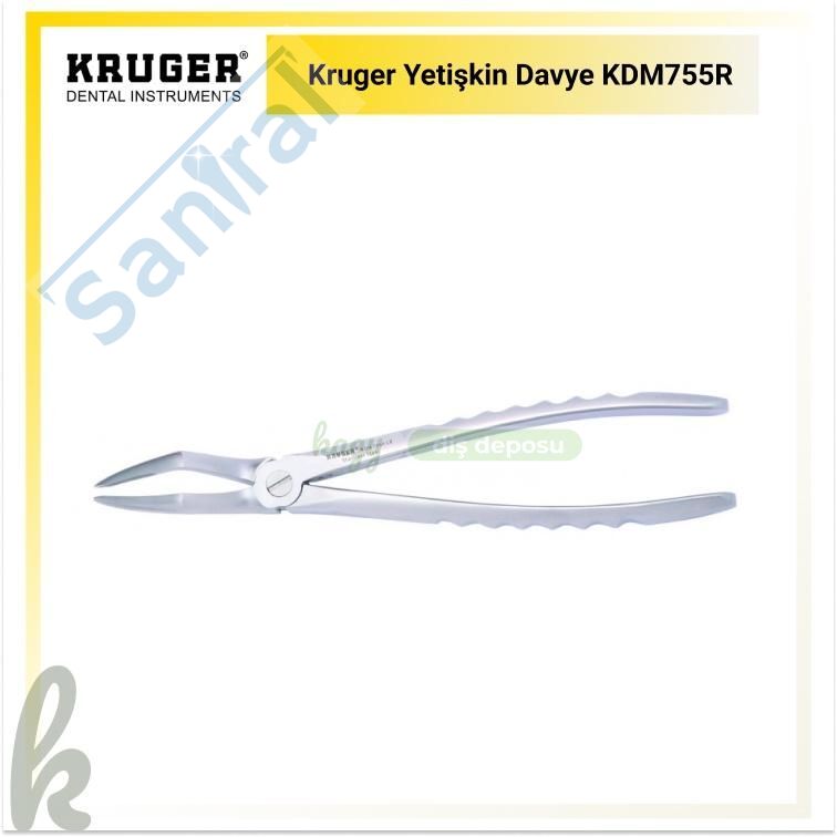 Kruger Yetişkin Davye KDM755R